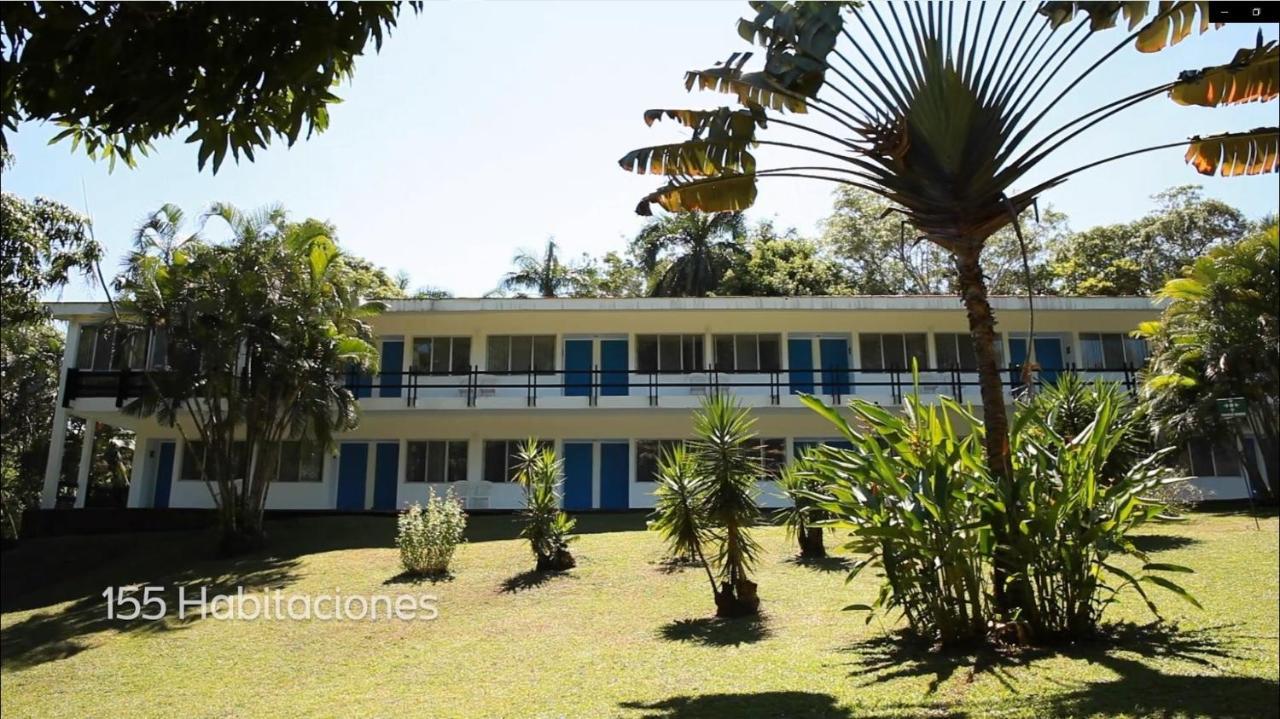 Mision Palenque